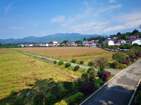 借他山之石   攻双清区“乡村振兴和美丽乡村建设”之玉(图3)