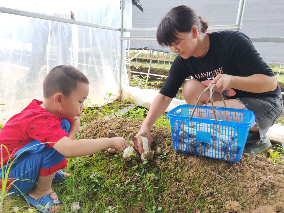 双清区以奋斗姿态阔步新征程(图5)