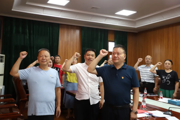曾秦伟以普通党员身份参加双清区委办党支部专题组织生活会(图1)