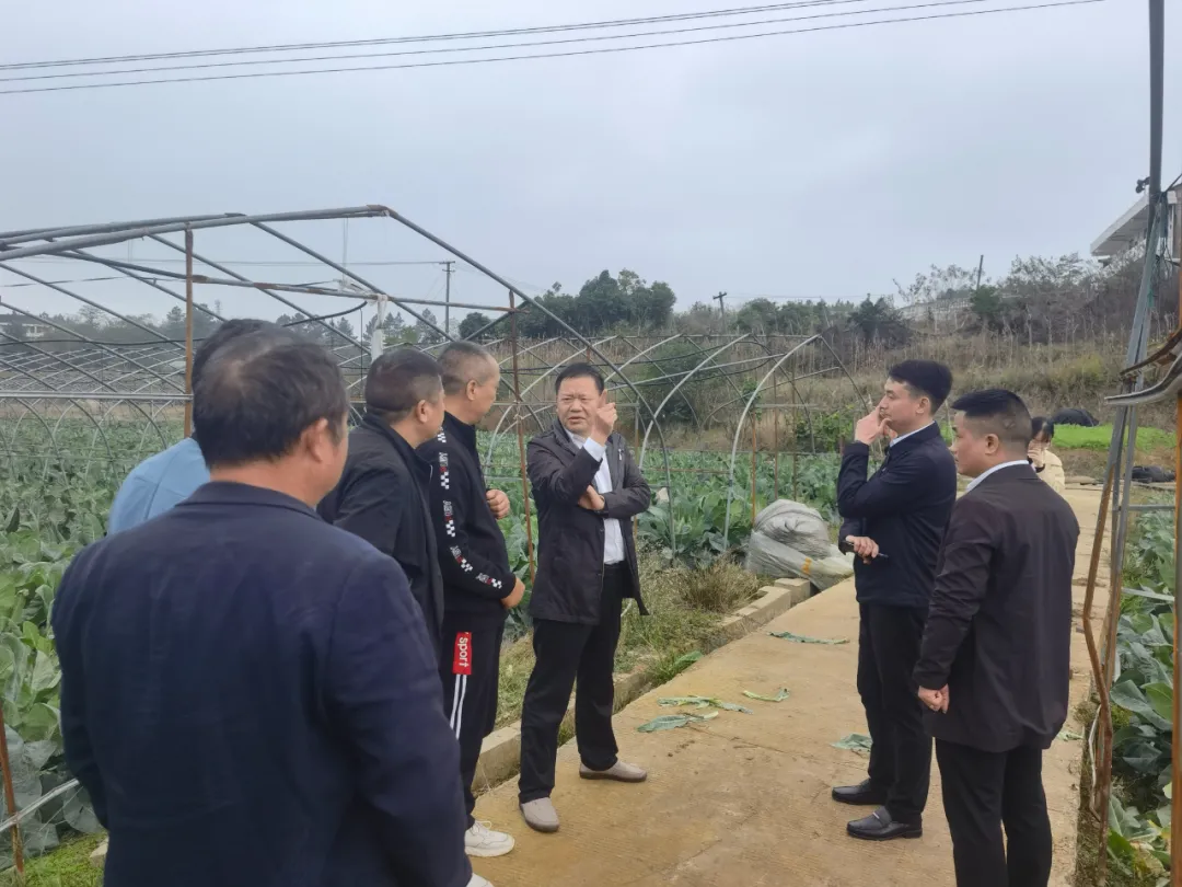 周末，双清区委书记曾秦伟慰问脱贫户，为乡村振兴“把脉问诊”(图2)