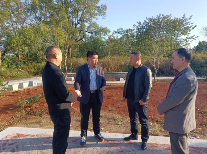 实地调研产业发展，助力乡村振兴工作(图1)