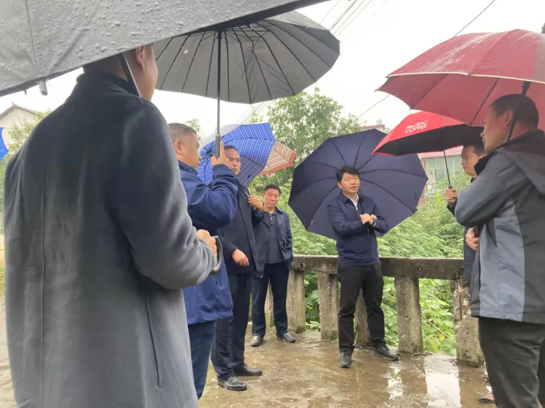双清区委书记曾秦伟、区长江韬周末冒雨督导重点工作(图5)