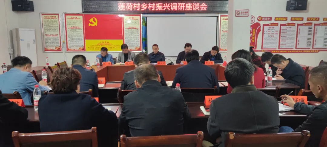 市委副书记汤立斌调研双清区莲荷村乡村振兴示范创建工作(图1)