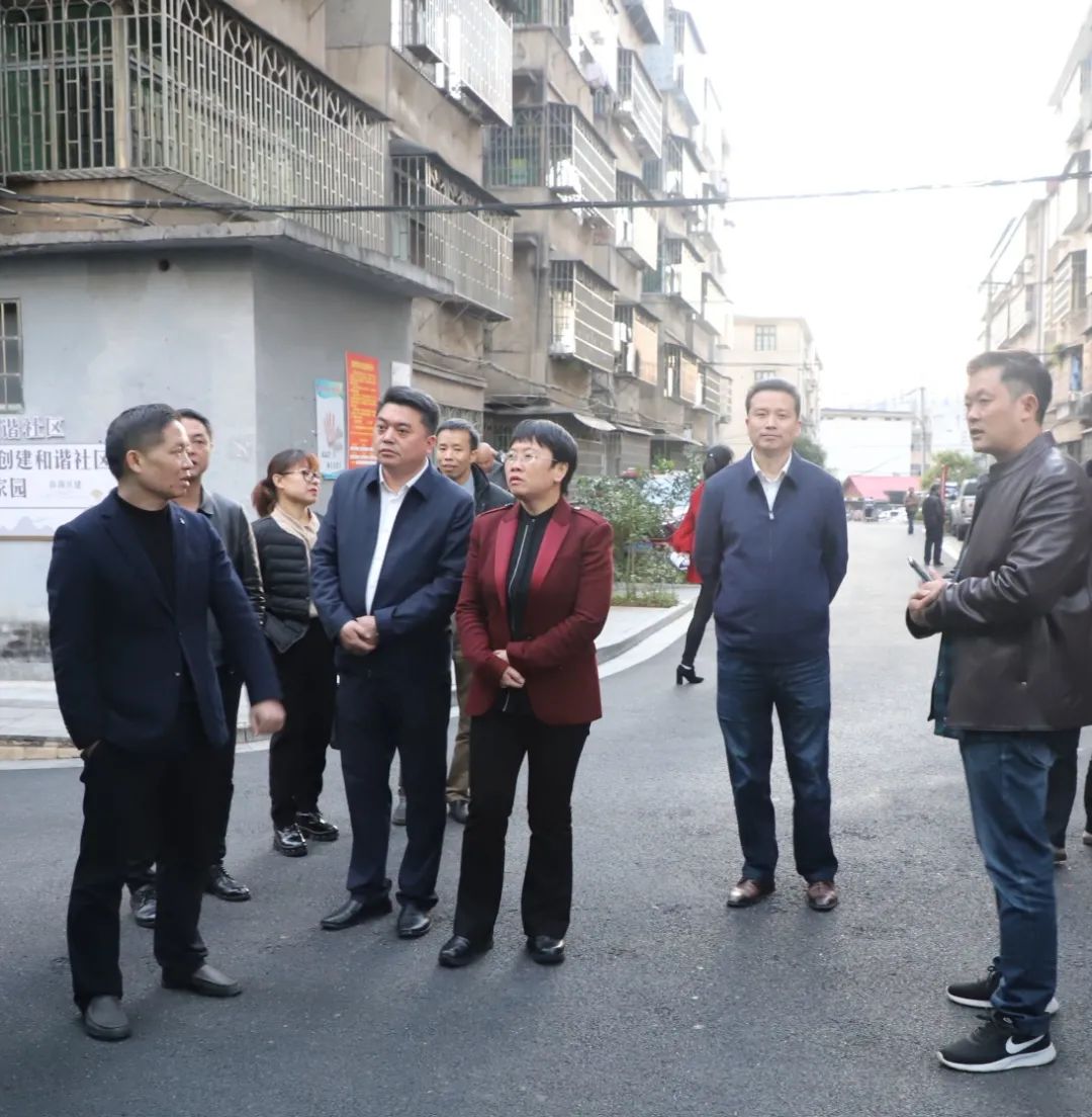 靖州县考察团到邵阳市双清区考察交流(图3)
