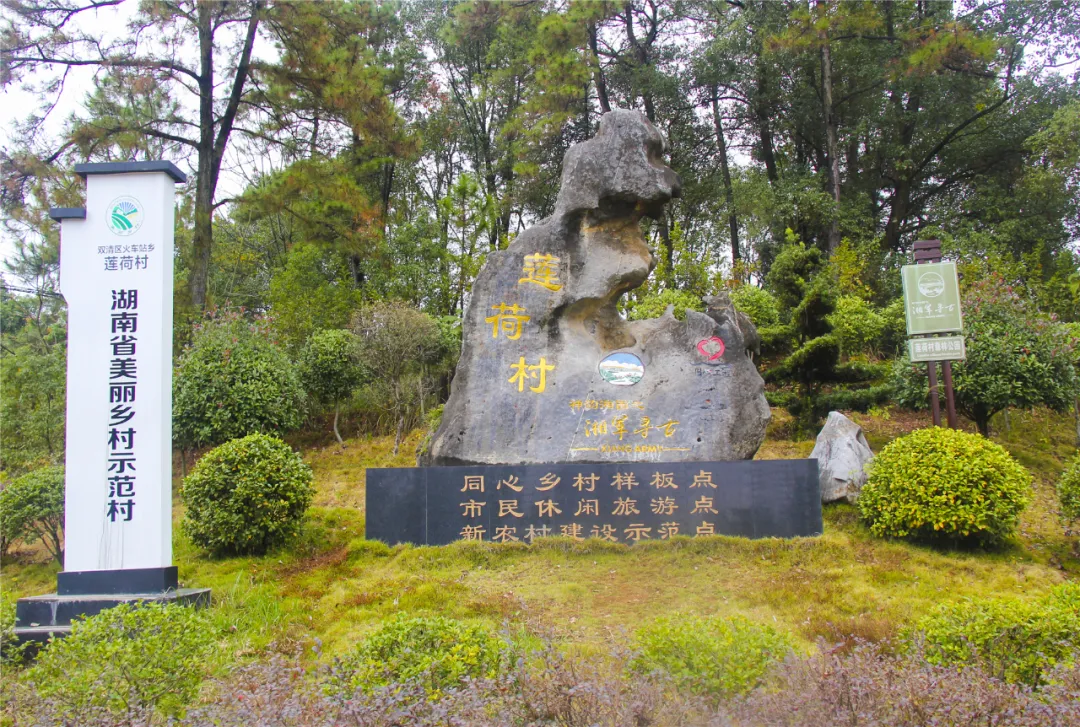献上“金点子” 蹚出新路子——省委党校第61期中青一班学员入驻双清区莲荷村体验式培训侧记邵阳市双清区融媒体中心(图1)