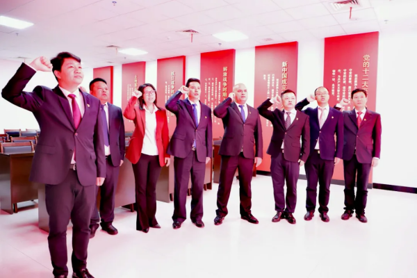 对党忠诚，不负人民 双清区新一届政府领导班子到党史陈列馆参观学习(图3)