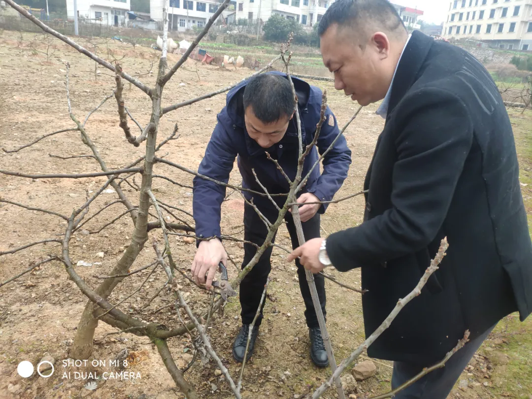 邵阳市双清区：构筑人才高地形成“磁场效应”(图1)