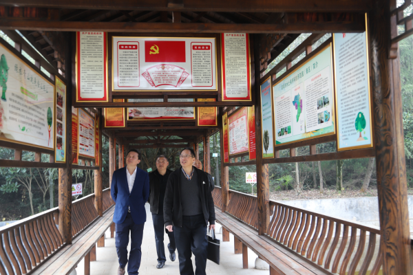 双清区推行“林长制”工作效果如何？省林长办评估组这样说(图1)