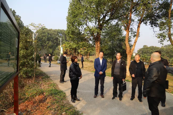 双清区推行“林长制”工作效果如何？省林长办评估组这样说(图3)
