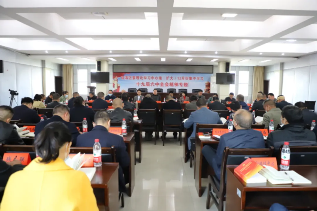 双清区委理论学习中心组（扩大）集中学习党的十九届六中全会精神(图1)