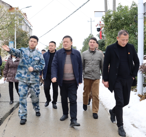 曾秦伟现场督导雨雪冰冻灾害天气防范应对、应急处突及乡村振兴工作(图3)