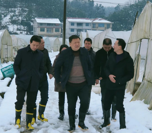 曾秦伟现场督导雨雪冰冻灾害天气防范应对、应急处突及乡村振兴工作(图2)