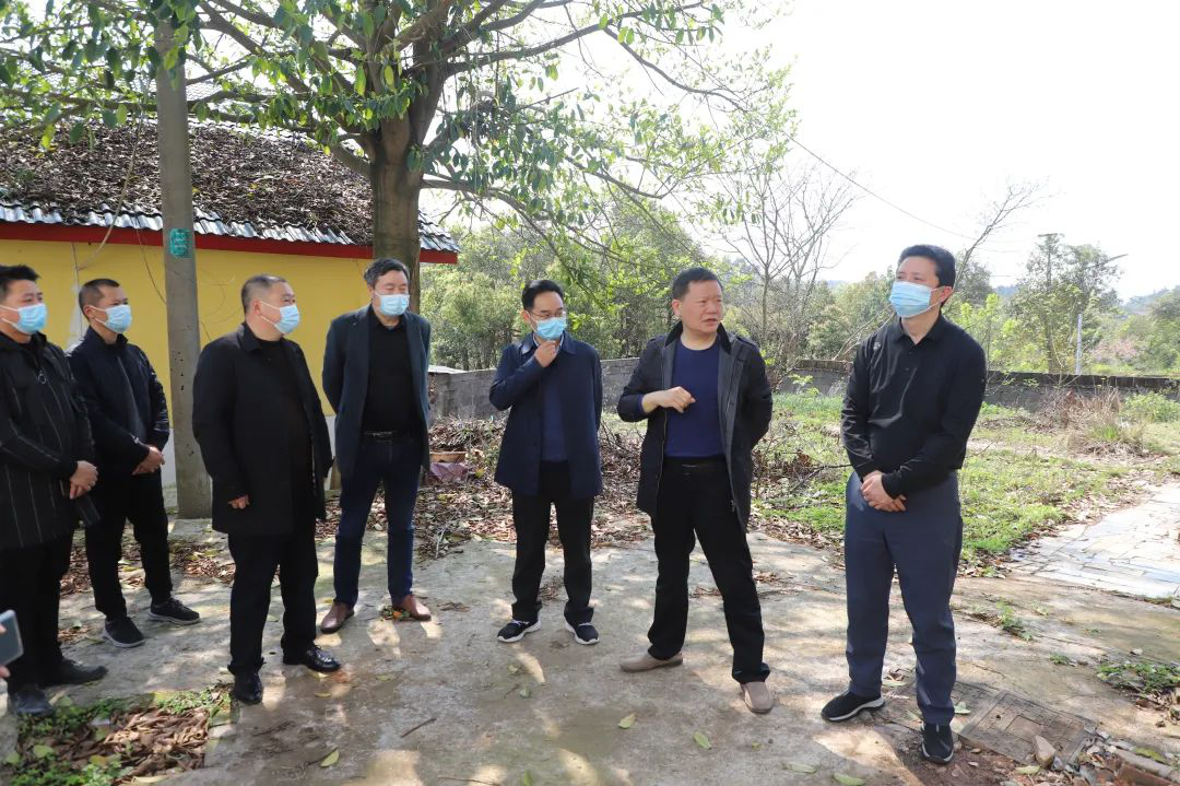 曾秦伟调研“林长制”工作(图2)
