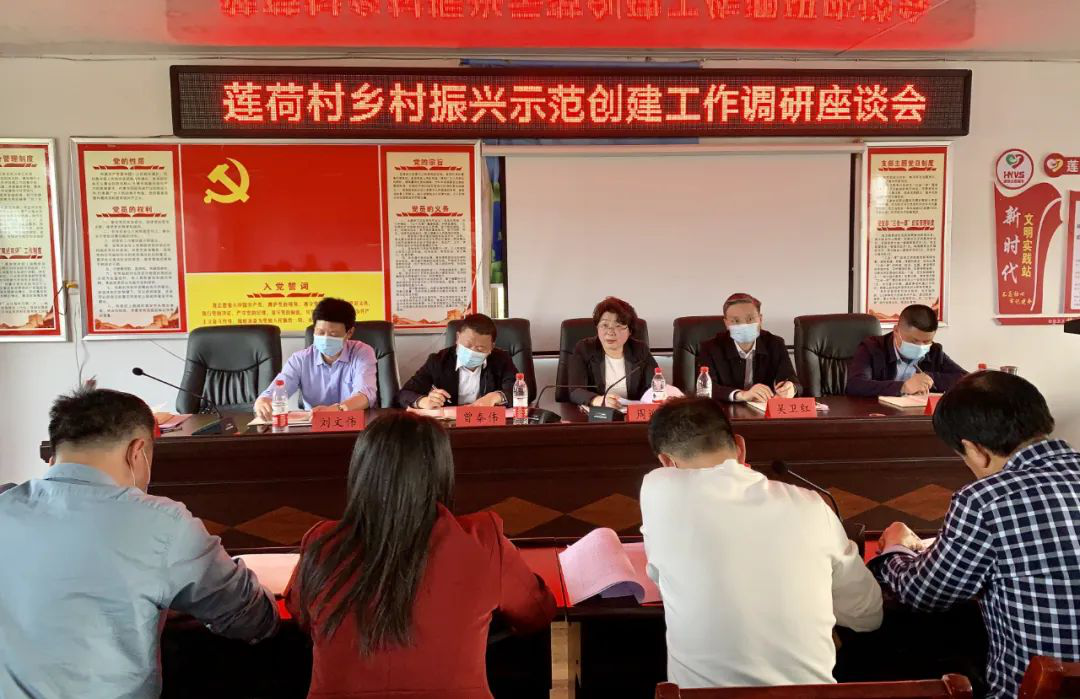 周迎春调研莲荷村乡村振兴示范村创建工作(图2)