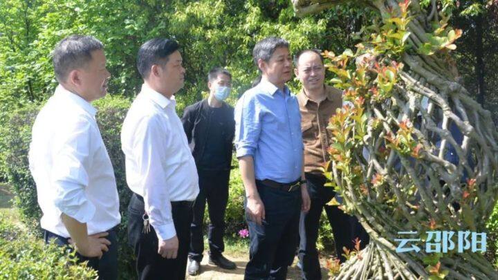 严华在双清区调研生态环境保护、乡村振兴等工作(图1)
