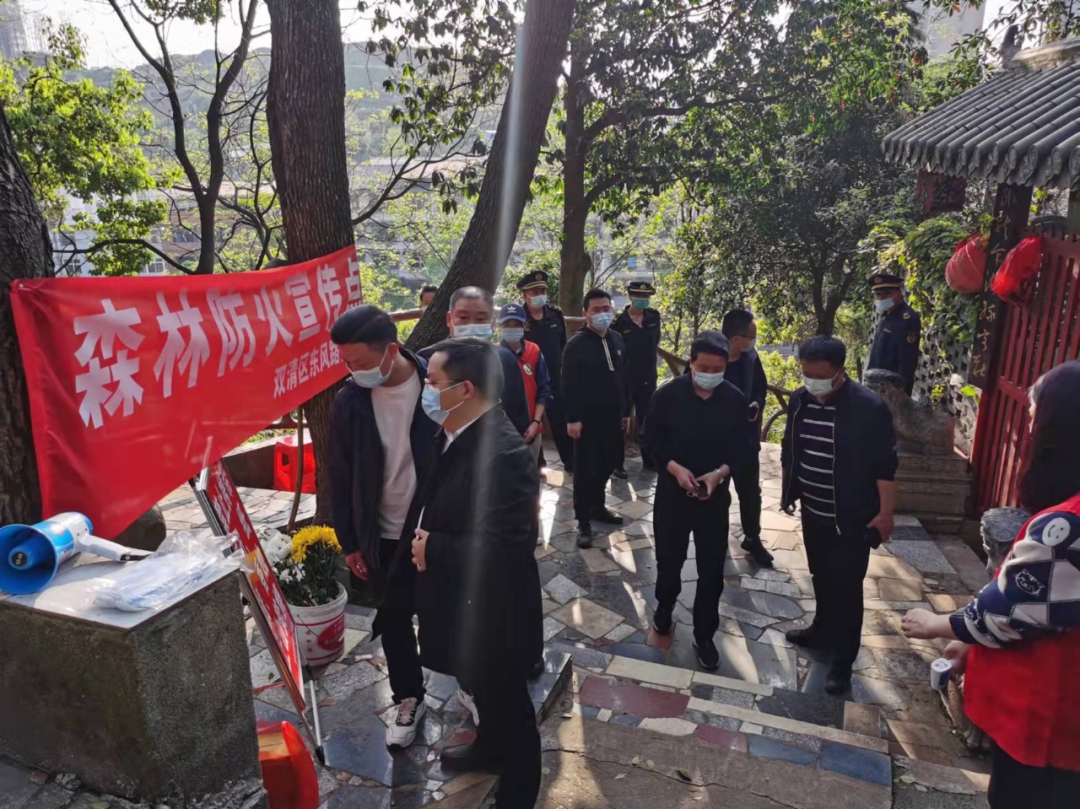 区领导督查佘湖山公园森林防火工作(图3)