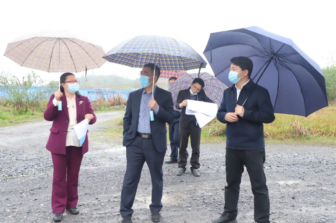 双清区召开现代物流业发展座谈会(图3)