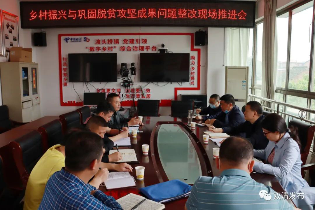 曾秦伟到渡头桥镇调研巩固拓展脱贫攻坚成果同乡村振兴有效衔接问题整改工作(图3)