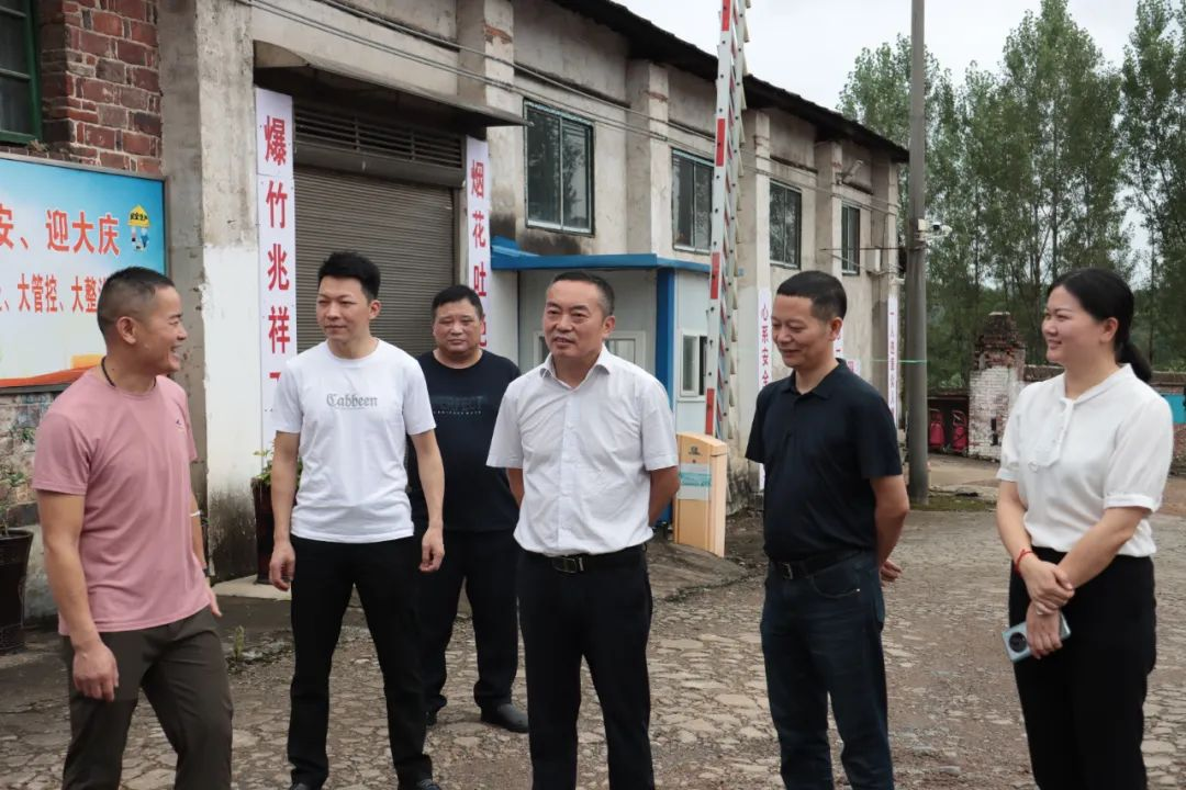区委书记赵逢春督导危化企业安全生产工作(图2)