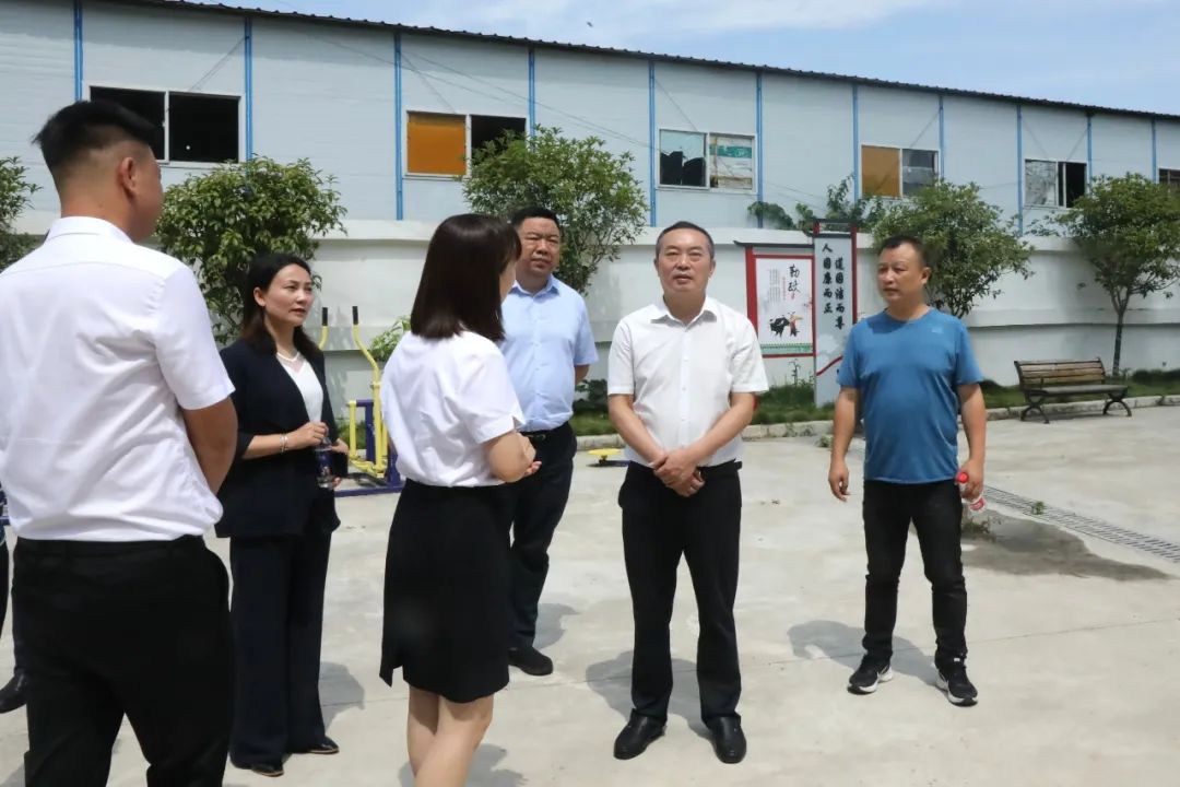 区委书记赵逢春到石桥街道调研(图2)