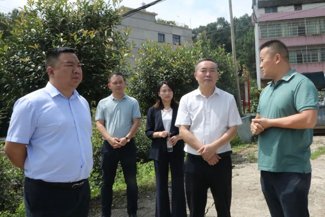 区委书记赵逢春到石桥街道调研(图3)