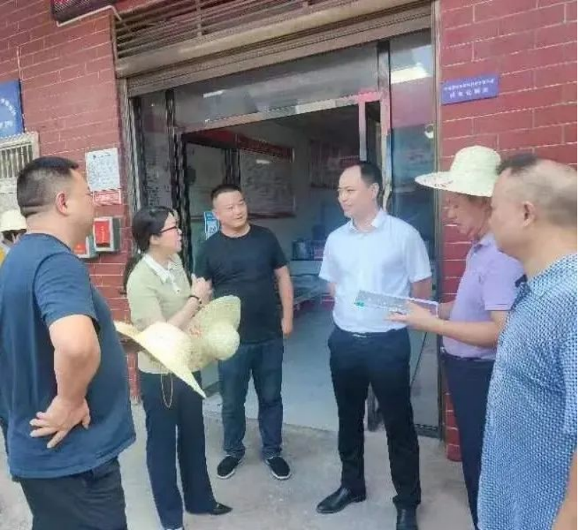 副市长杨卫平督导检查双清区创文和抗旱工作(图2)