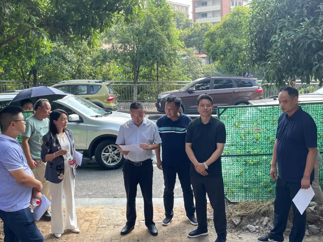 区委书记赵逢春带队督导自建房安全专项整治和创文工作(图3)