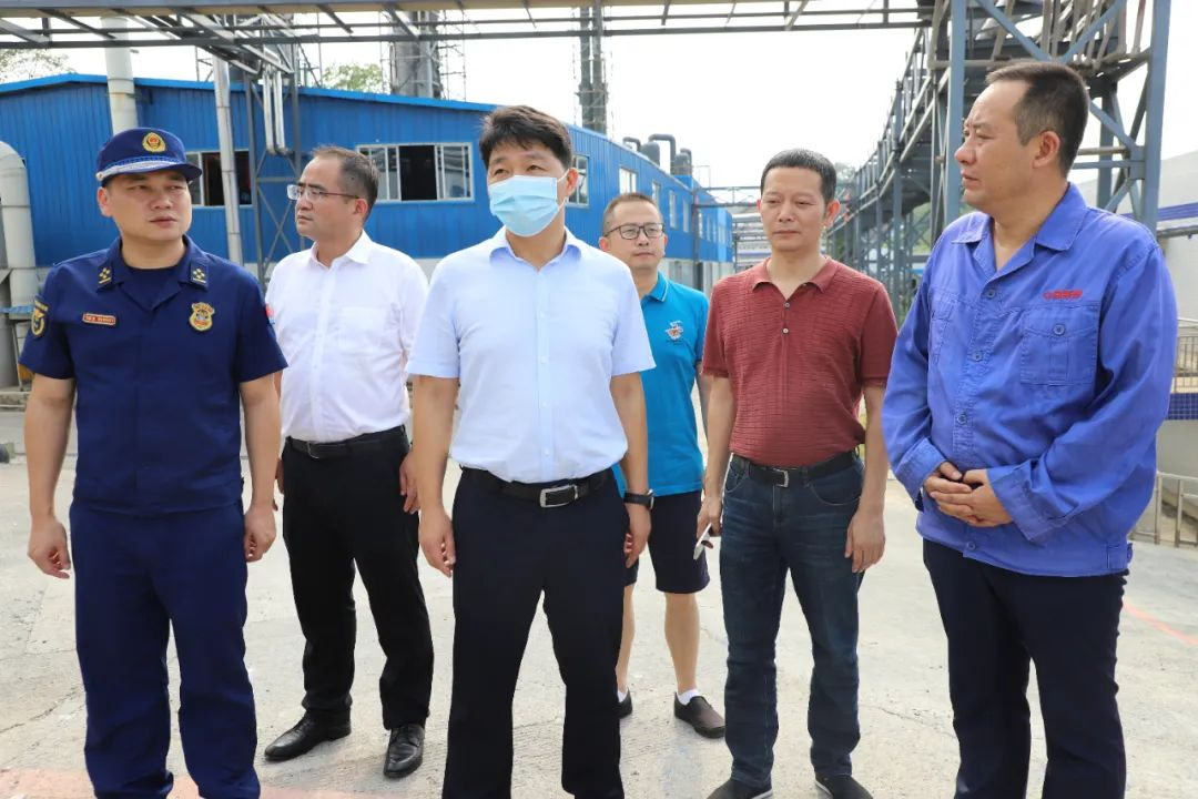 区领导率队督导检查疫情防控、安全生产和自建房专项整治等工作(图3)