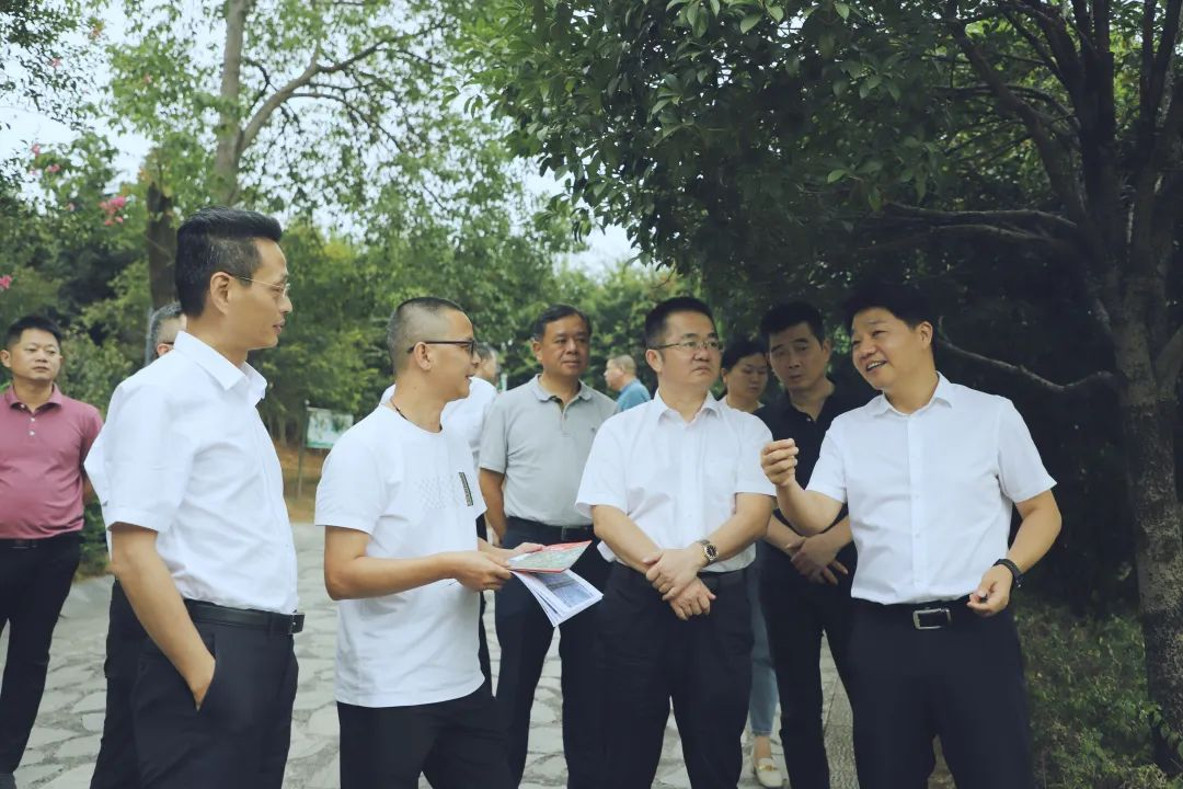 双清区召开与省建设投资集团深化战略合作座谈会(图2)