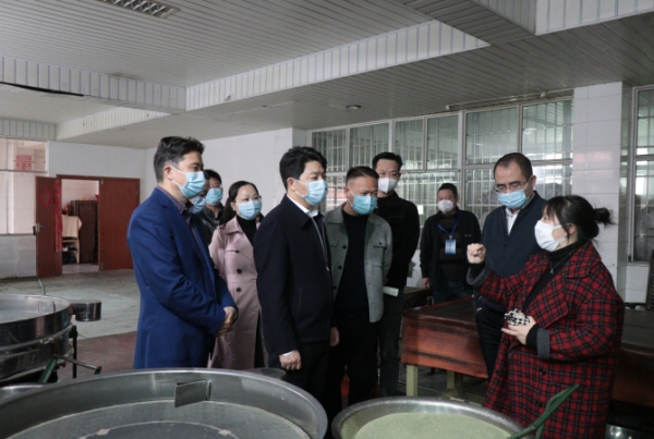 区领导带队督导调研复工复产工作(图2)