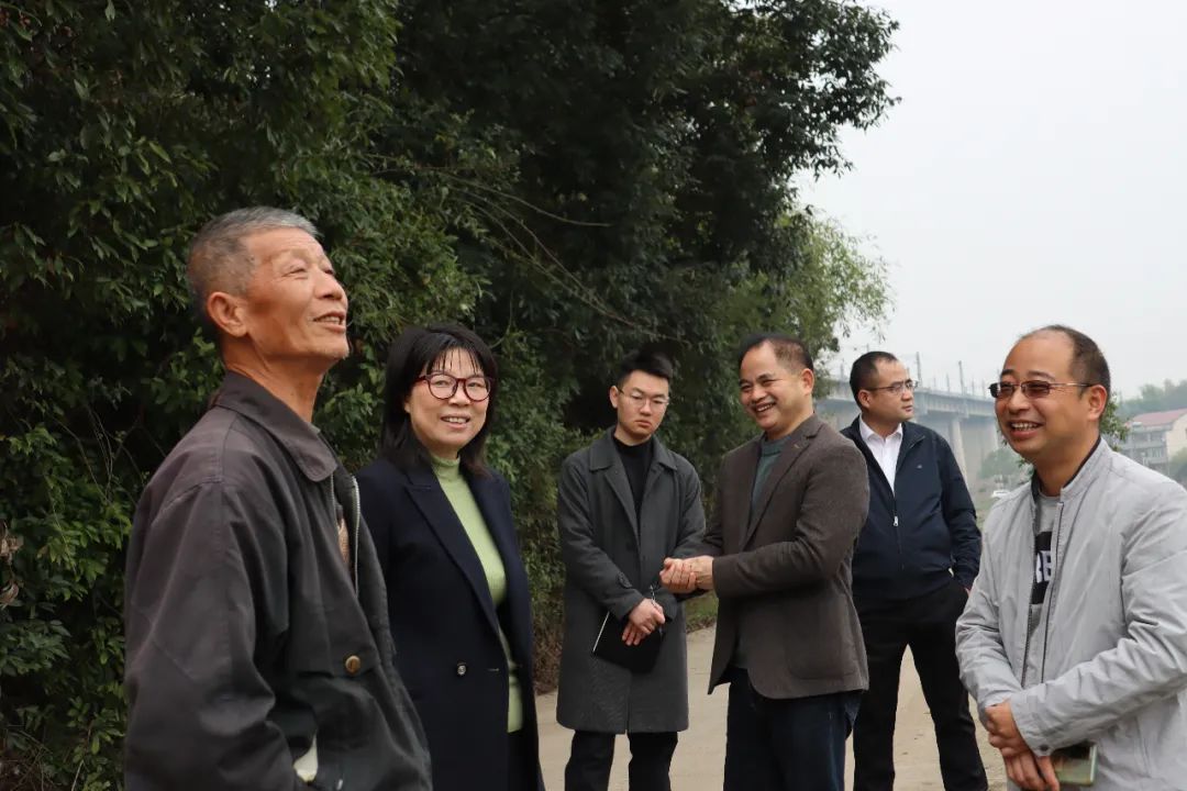 区领导带队实地调研春耕备耕工作(图1)