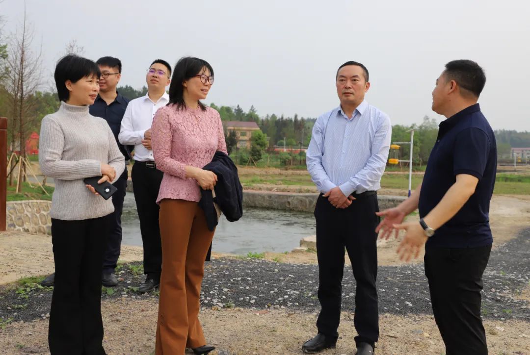 区委书记赵逢春到渡头桥镇督导检查市域社会治理和春耕生产工作(图1)