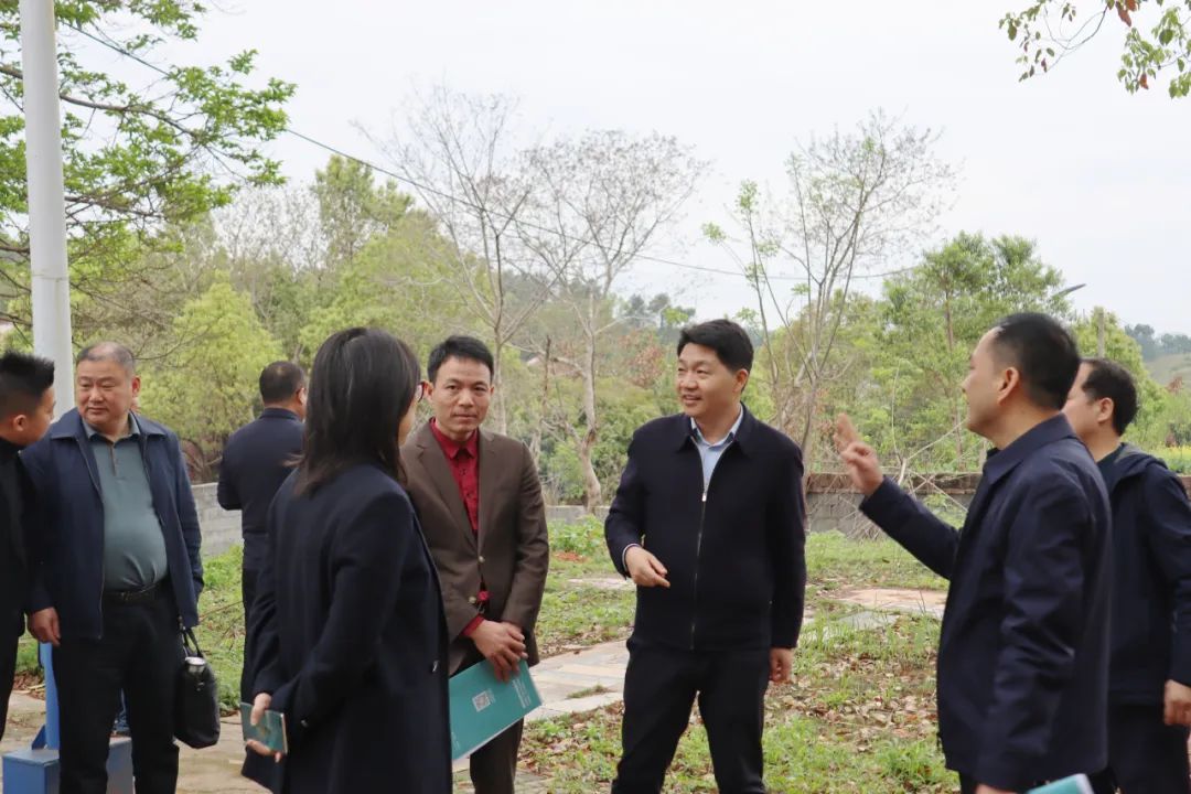 区领导带队调研双清区青少年教育实践基地项目建设工作(图1)