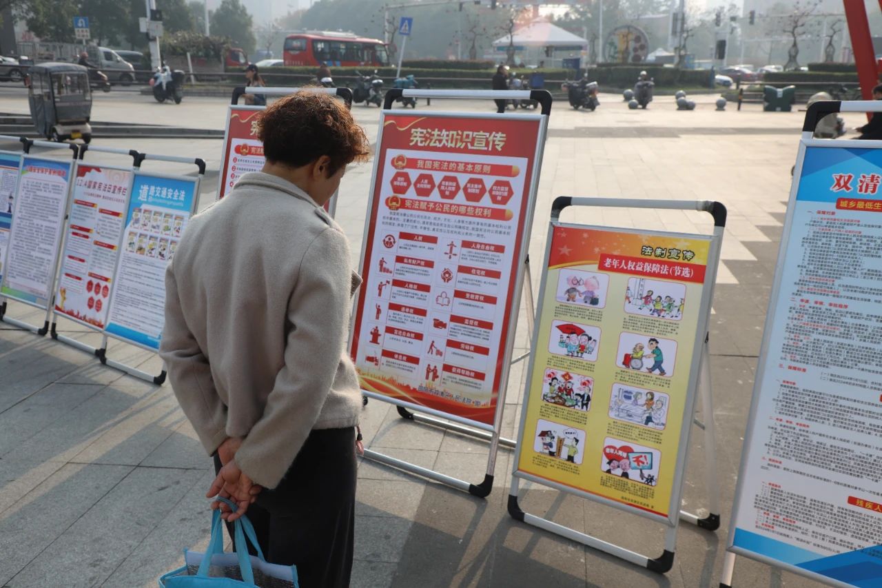 与法同行，我们这样精彩呈“宪”  | 双清区举行国家宪法日主题宣传活动(图2)