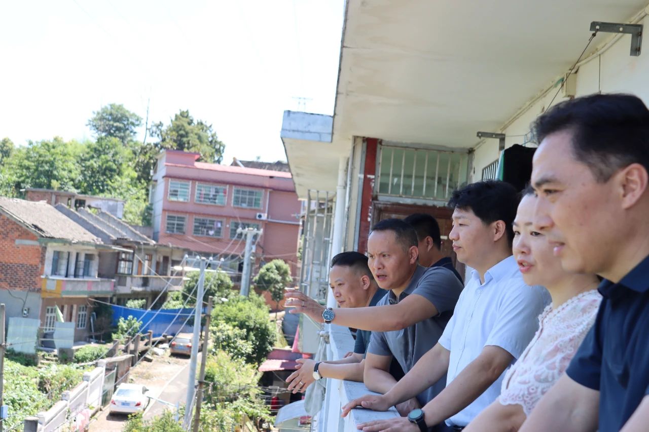 区领导调研省委巡视反馈问题整改工作(图2)