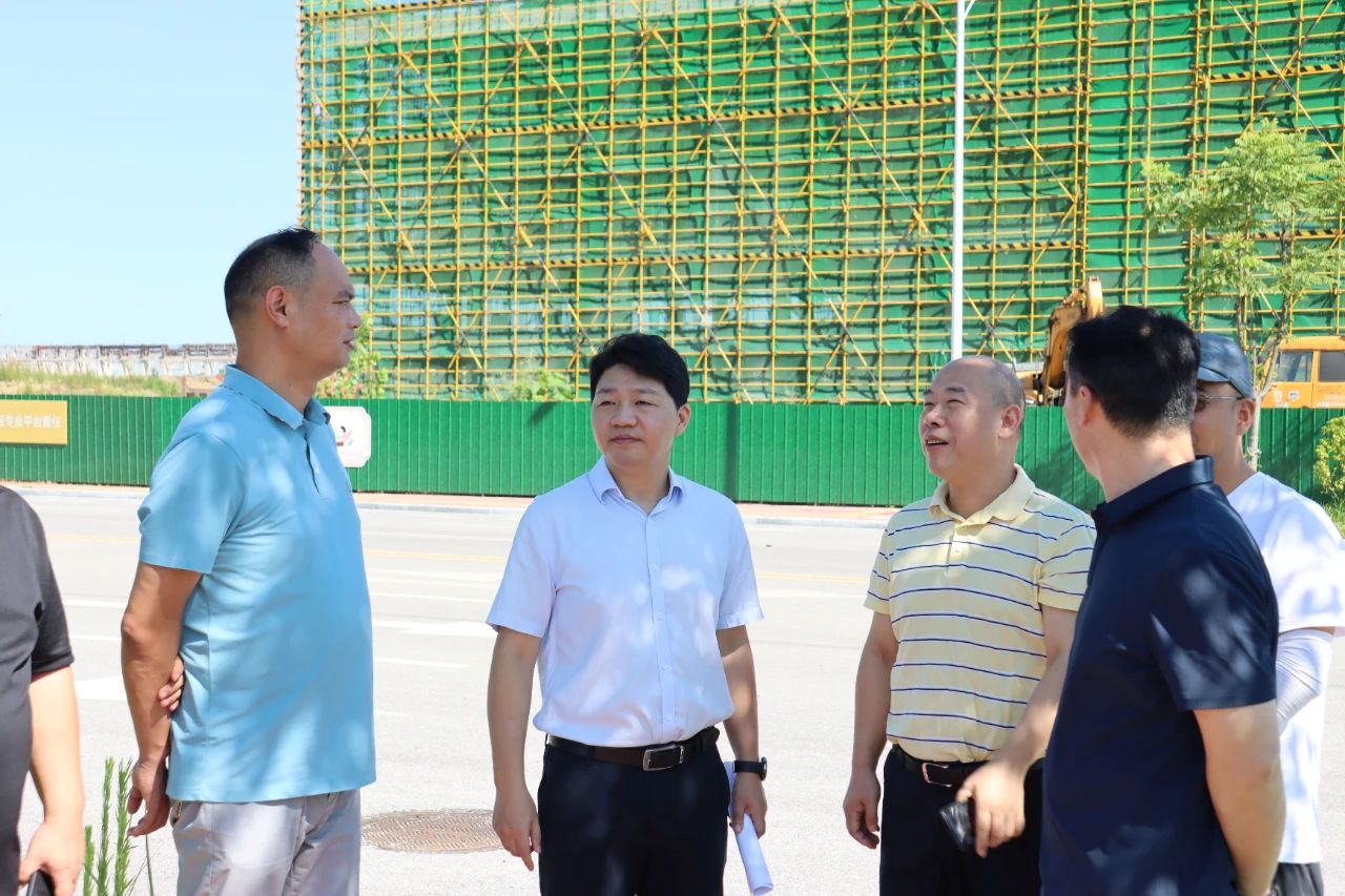 区领导调研省委巡视反馈问题整改工作(图1)