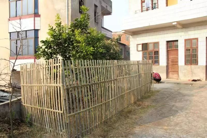 寒梅不语唯争春：双清区滨江街道寒梅村强化农村治理工作纪实(图6)