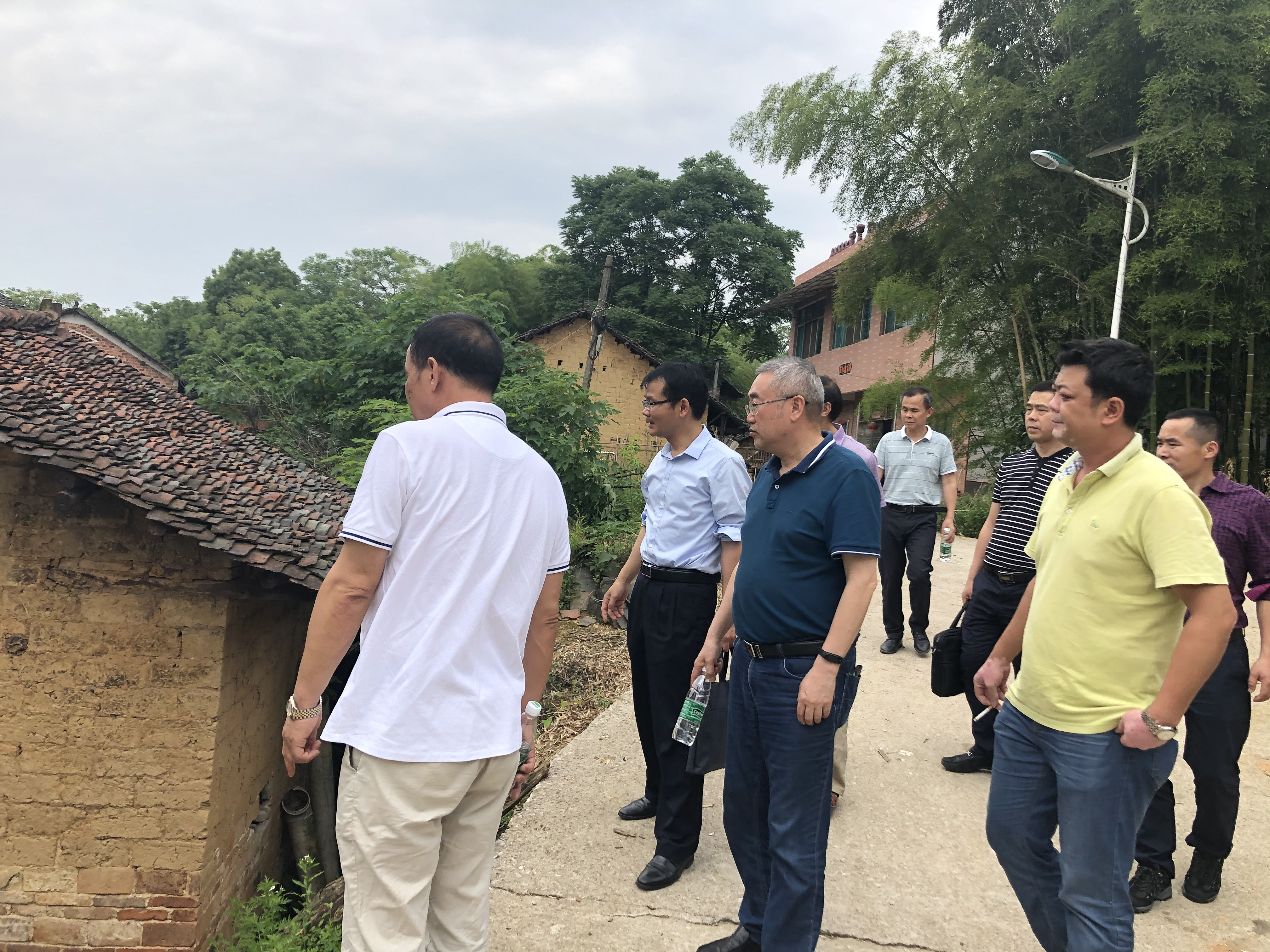 市人大调研组到渡头桥镇调研农村违法乱占耕地建房(图2)