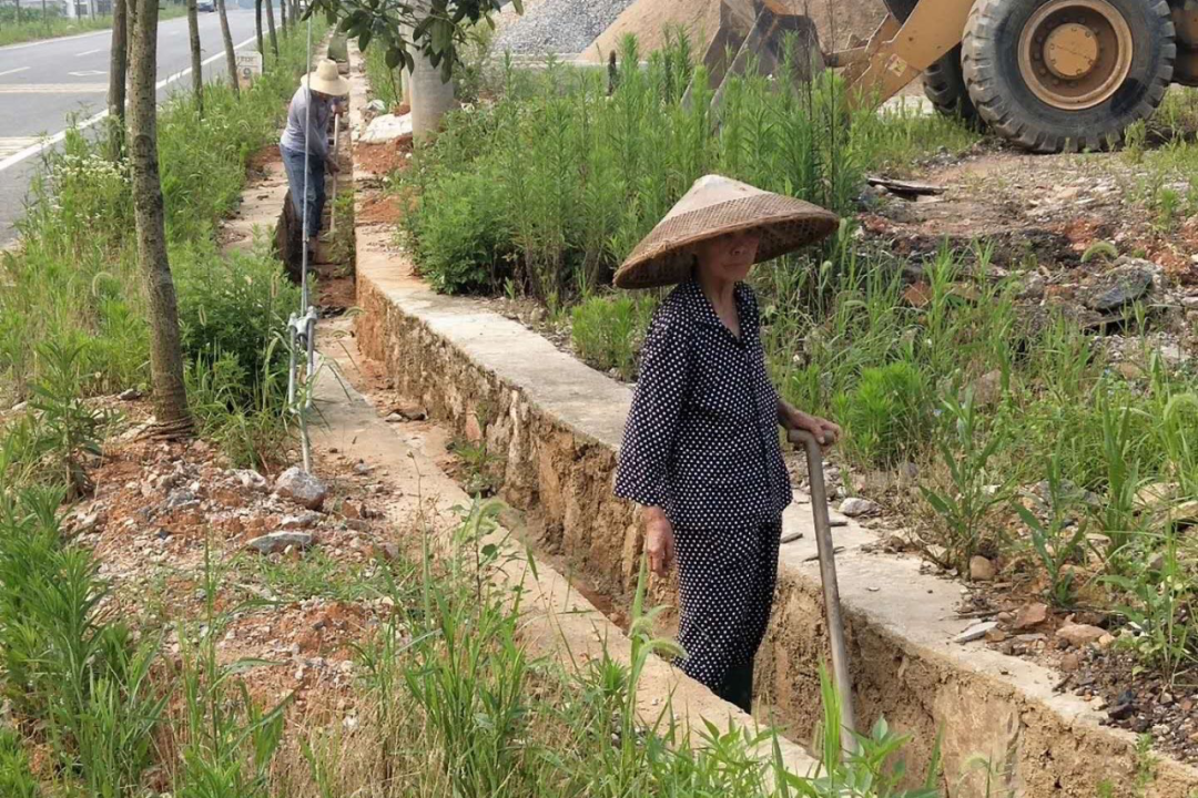 双清区人居环境整治“雷霆行动”如火如荼 (图3)