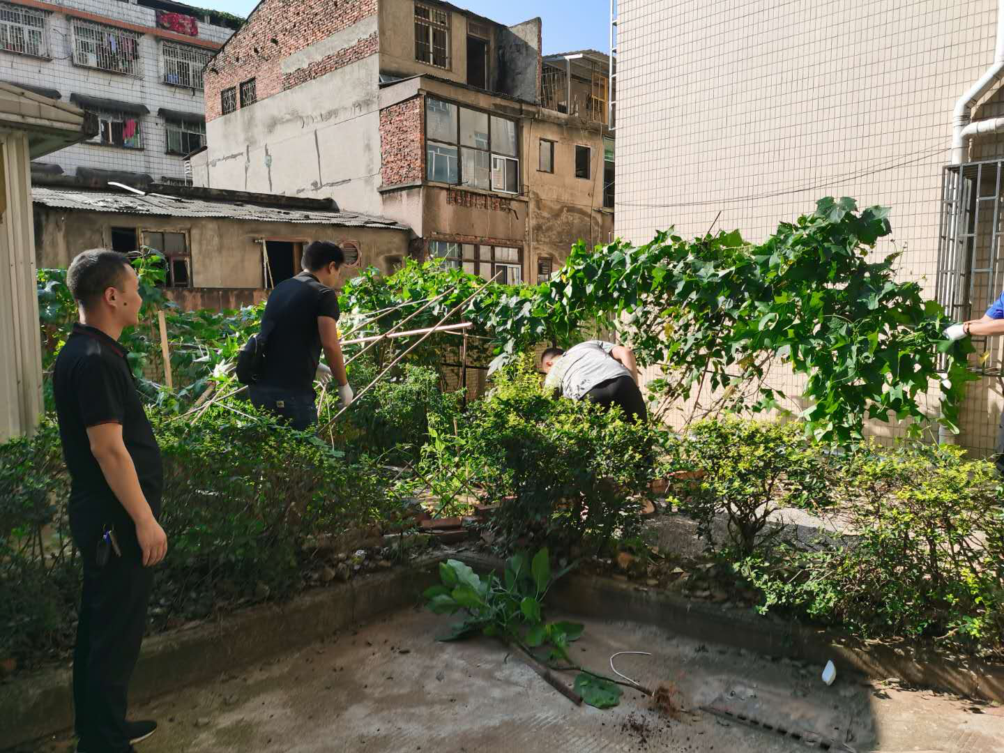 龙须塘街道全面开展环境卫生整治，巩固国卫成果(图2)