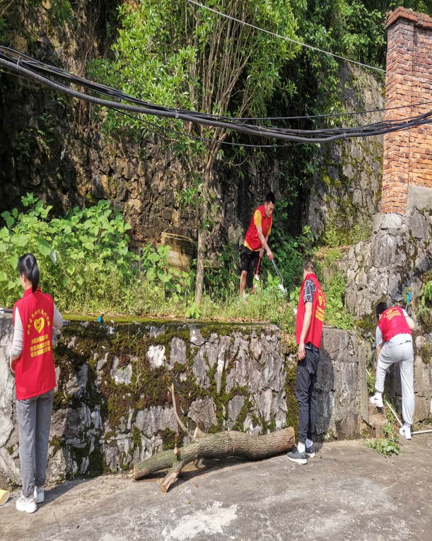 推进文明创建，兴隆街道在行动(图1)