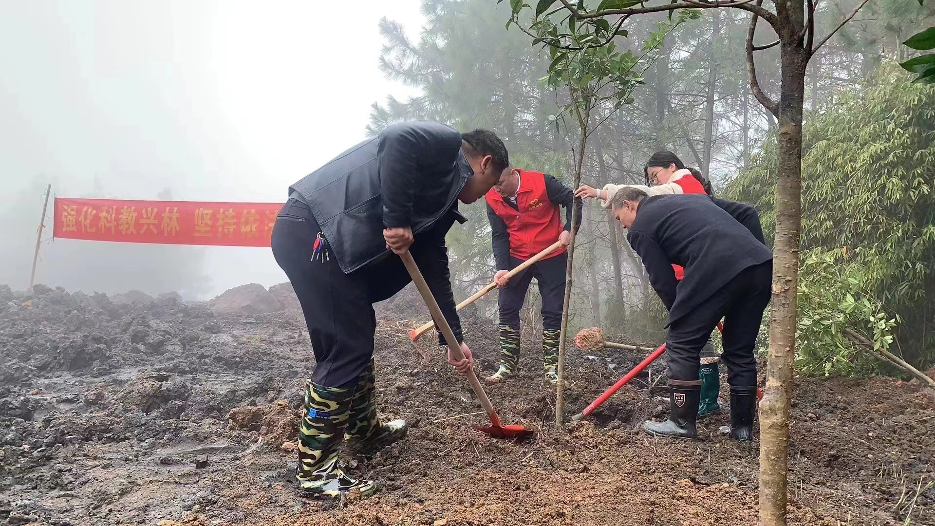 双清区高崇山镇：植树护绿，共筑蓝天(图1)