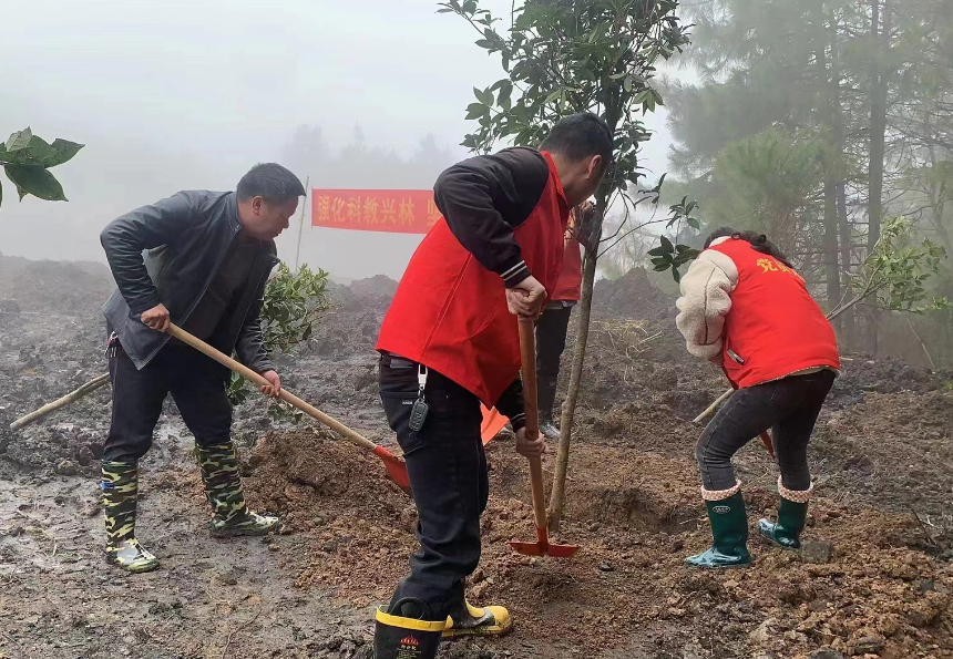 双清区高崇山镇 开展“履行植树义务 共建美丽中国”义务植树活动(图1)